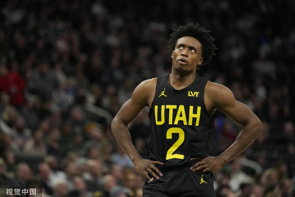 多种阵容组 多种阵容组